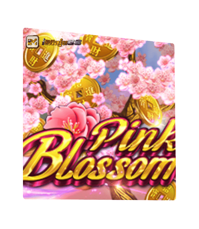 Pink Blossom